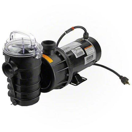 Pentair Dynamo 1.5 HP 2 Speed Pump - 340400