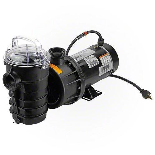 Pentair Dynamo 1.5 HP 2 Speed Pump - 340400