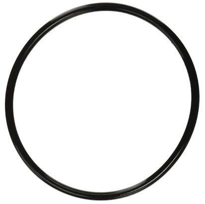 Pentair WhisperFlo IntelliFlo Strainer Cover O Ring (After 11/1998) - 350013