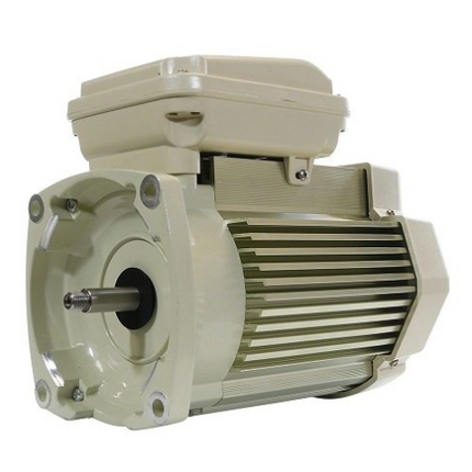 Pentair WhisperFlo 5 HP  Pool Pump Motor - 354819S