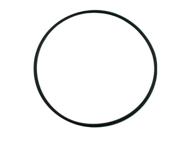 Pentair Seal Bracket O-Ring for Pool or Spa Pump - 355619