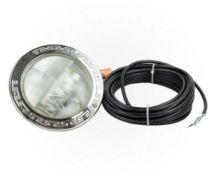 Pentair IntelliBrite 50 ft. Cord 120V White LED Pool Light - 601301