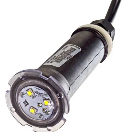 Pentair GloBrite White LED Light 50 Foot Cord - 602103
