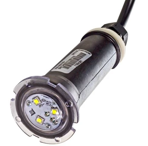Pentair GloBrite White LED Light 100 Foot Cord - 602104