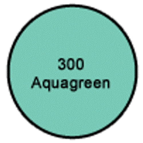 Ramuc Aqua Green Dampset Pool Paint - 1 Gal