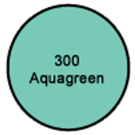 Ramuc Aqua Green Epoxy Pool Paint- 1 Gal