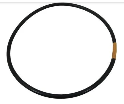Pentair Rainbow O Ring Lid To Housing - R172240