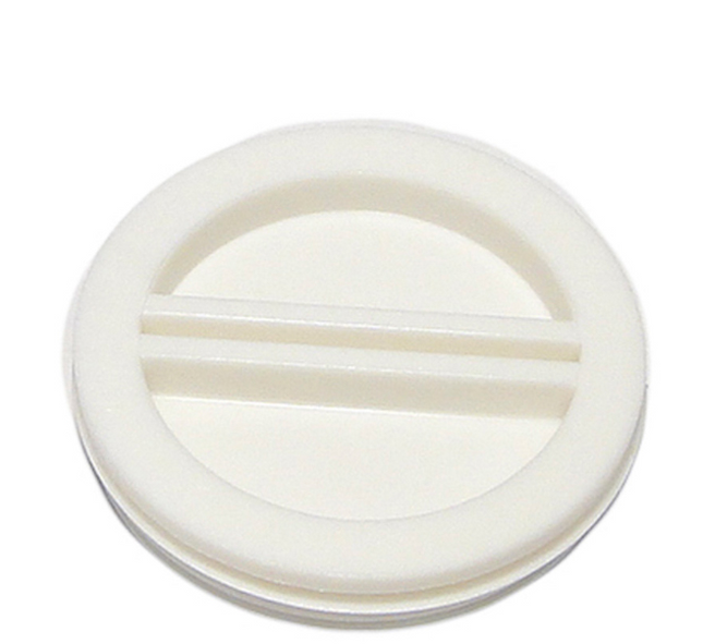 Pentair Rainbow 2" THD Plug 852 - R22011