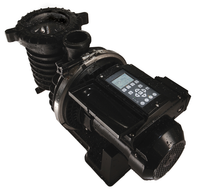 Sta-Rite IntelliPro Variable Speed Pool Pump - P6E6VS4H209L