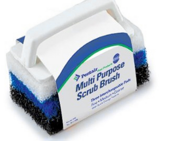 Pentair Rainbow Multi Purpose Scrubber - R111556