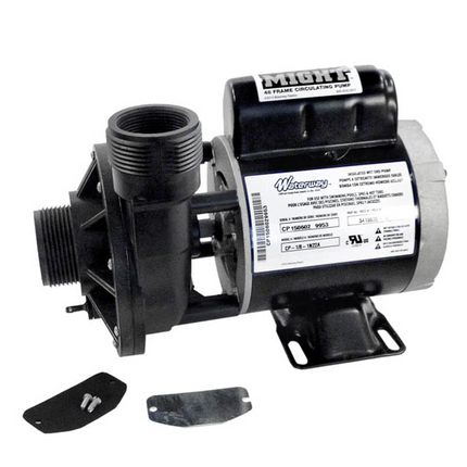 Waterway Iron Might Circulation Pump 1/8 HP 115V - WW34100301E