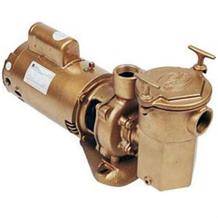 Advantage Commercial Bronze In-Ground Pool Pump 1 1/2 HP