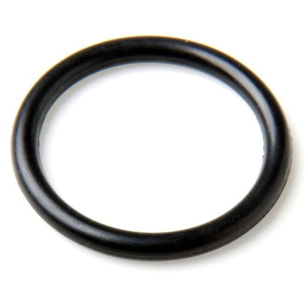 CMP PowerClean Salt Cell O-Ring - 52000-200-101