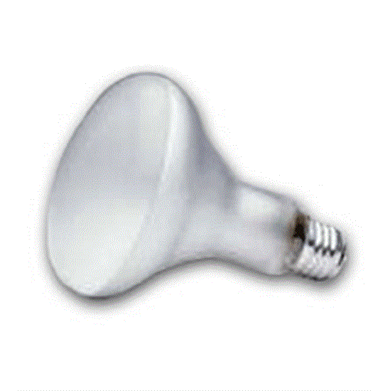 Light Bulb 12V 100W BR30