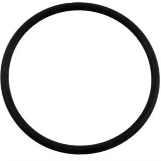 Hayward CL100-CL110 Chlorinator Cover O-Ring