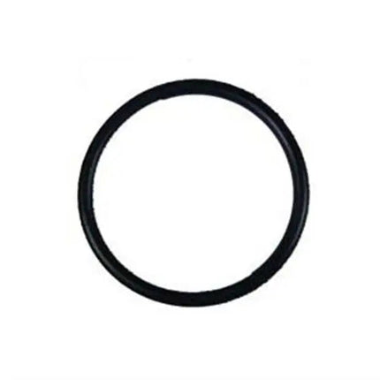 Hayward Diffuser Gasket