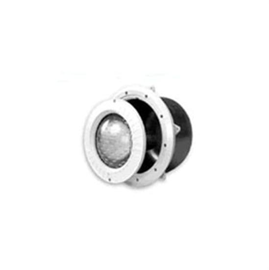 Hayward Duralite 500W 120V Replacement Light With 100' Cord - Stainless