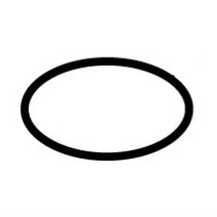 Hayward H-series Flange O-Rings