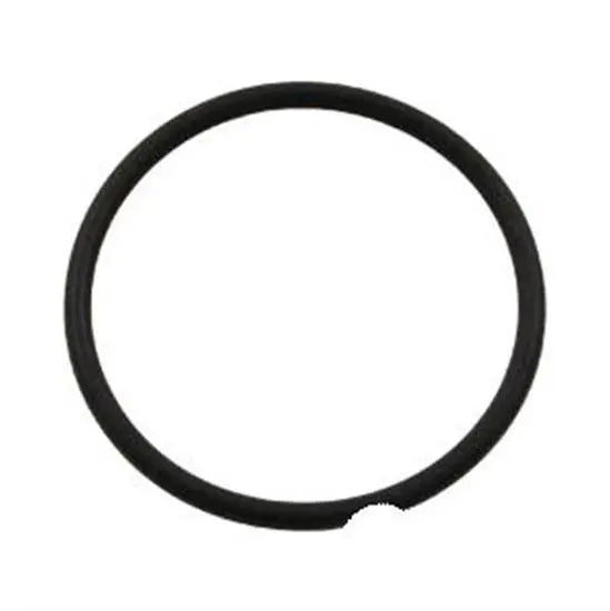 Hayward Union O-Ring
