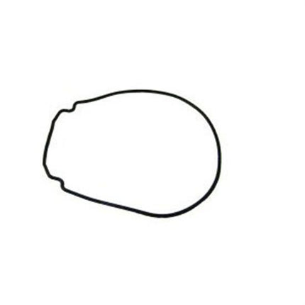Jandy Housing Gasket