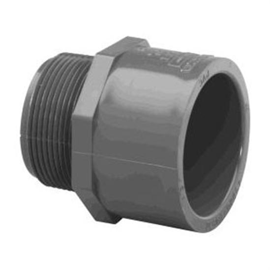 Lasco 1.5" MPT x SKT Male Adapter CPCV Gray - Schedule 80