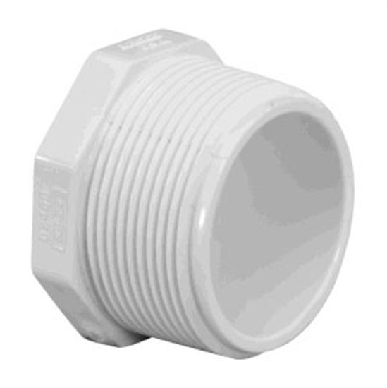 Lasco 2" MPT Plug - Schedule 40