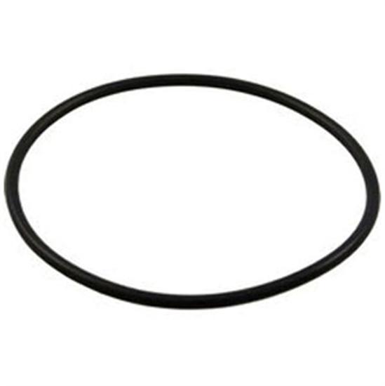 Pentair 192320 Pac Fab Bulkhead O-Ring