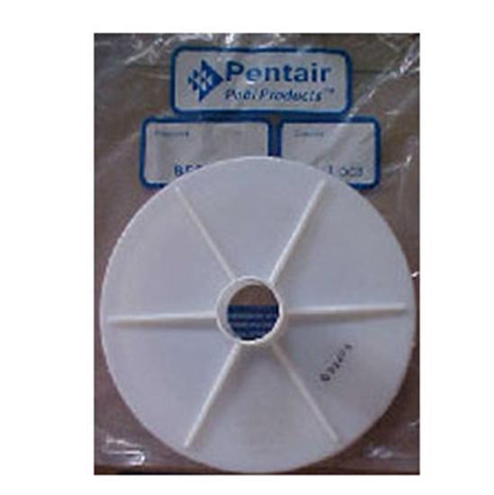 Pentair American Admiral Skimmer Vacuum Plate