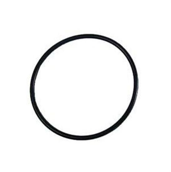 Pentair American Ultra Flow Strainer Pump Lid O-Ring
