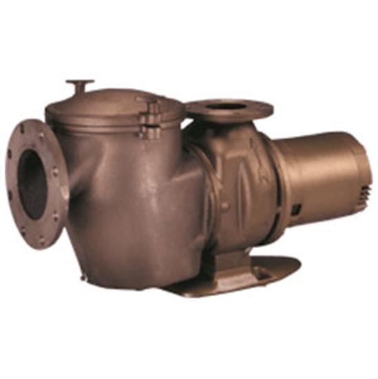 Pentair Bronze Pump 3HP 230V
