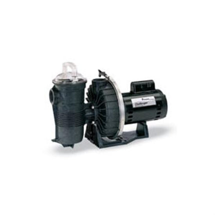 Pentair Challenger 2HP 2-Speed Up-Rated Pool Pump