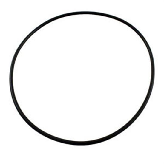 Pentair Cover O-Ring Aq-Wff