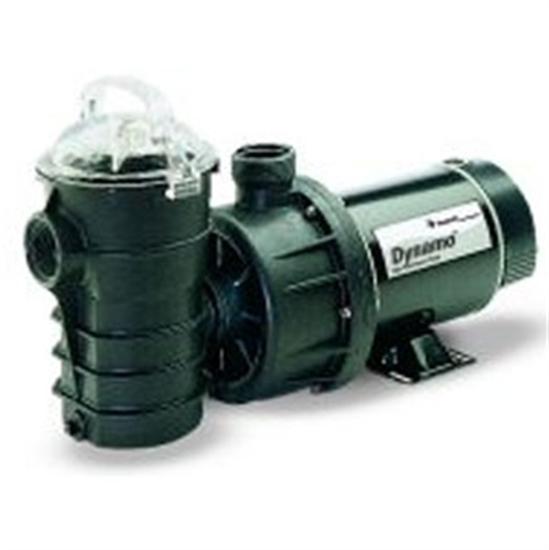 Pentair Dynamo 1.5 HP Abv-grnd Pool Pump
