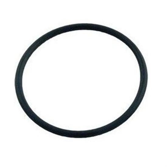 Pentair FNS Plus Filter o-ring 2-329 bulkhead RPM 2