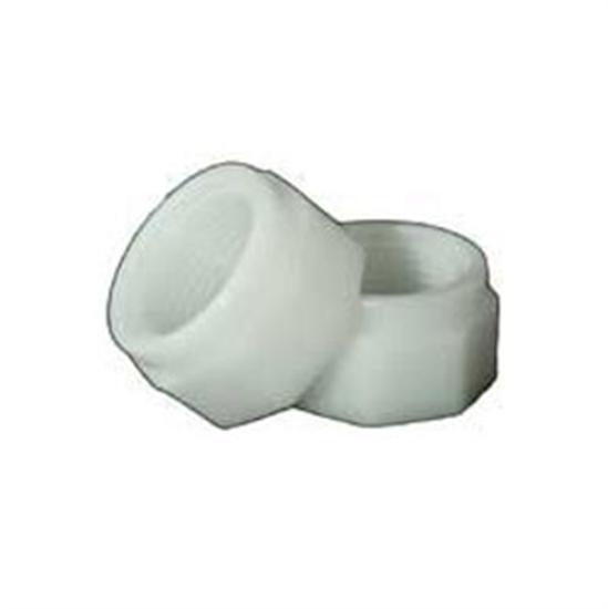 Pentair Letro Plastic Mendor Nut