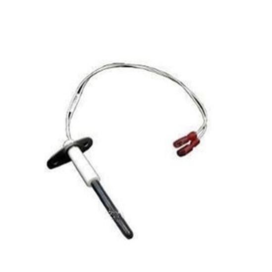 Pentair MiniMax Ignitor