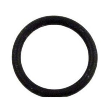 Pentair O-Ring Valve Stem 2" - O71