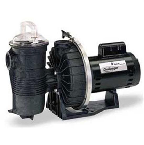 Pentair PacFab 0.75 HP 115/230V Challenger High Flow Pool Pump - 342233