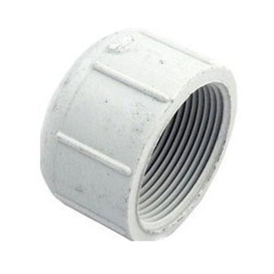 Pentair PacFab 1 1/2" Threaded Cap TR Filter