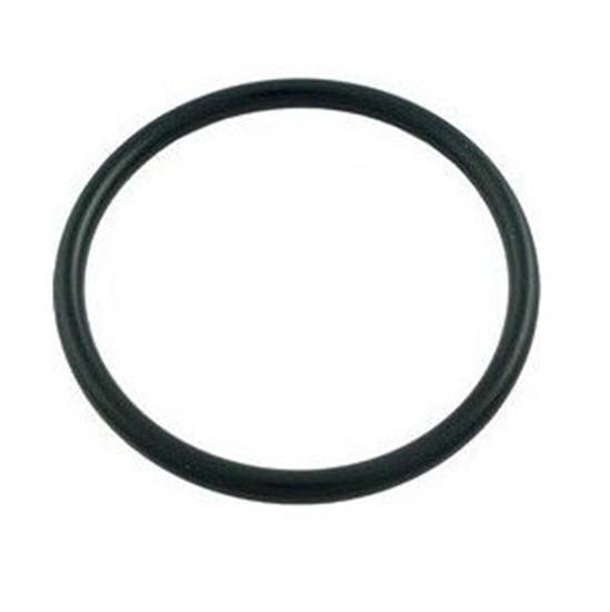 Pentair PacFab 2" O-Ring - O24