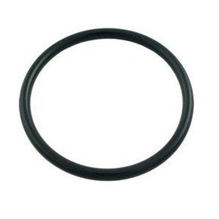 Pentair PacFab Bulkhead O-Ring