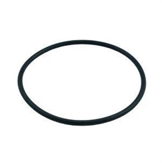 Pentair PacFab Dynamo Lid O-Ring - O231