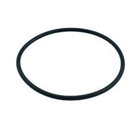 Pentair PacFab Valve O-Ring - O467