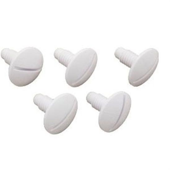 Pentair Plastic Wheel Screw 5 Pk