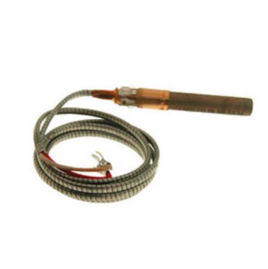 Pentair Purex Pilot Generator Millivolt With Clip