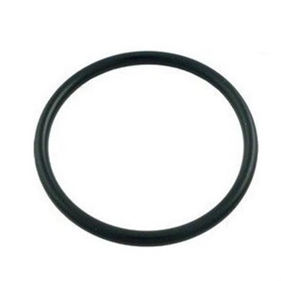Pentair SuperFlo OptiFlo Pump O'Ring