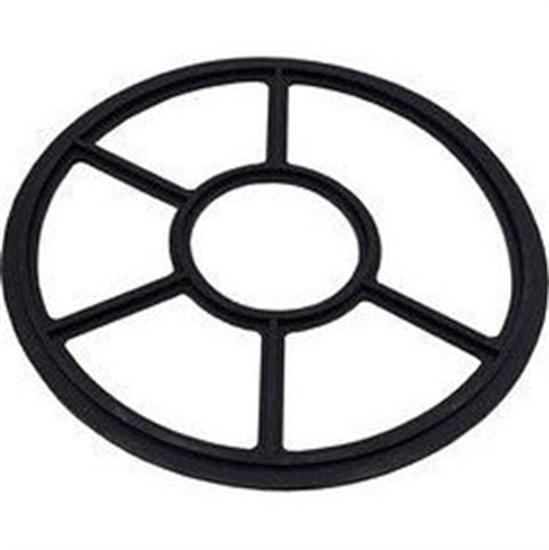 Pentair Valve Diverter Seal