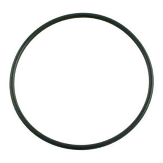 Pentair WhisperFlo Diffuser O-Ring