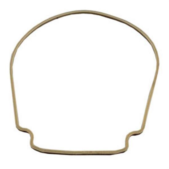 Pentair WhisperFlo Pump Seal Plate Gasket O-Ring