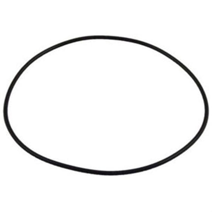 Polaris Pump Bracket O-Ring - O299